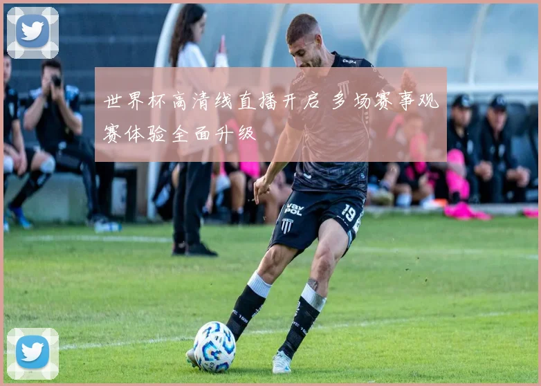 世界杯高清线直播开启 多场赛事观赛体验全面升级