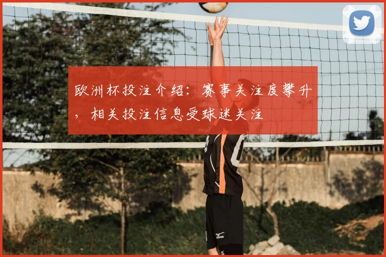 欧洲杯投注介绍：赛事关注度攀升，相关投注信息受球迷关注