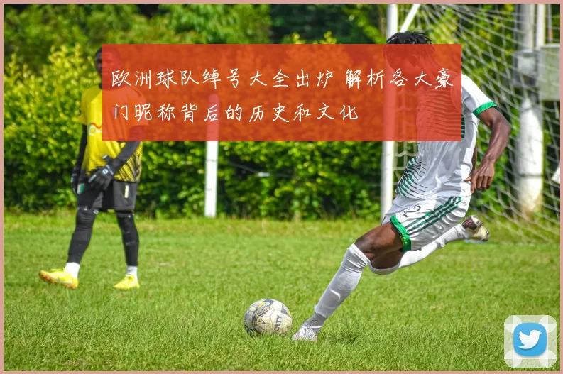 欧洲球队绰号大全出炉 解析各大豪门昵称背后的历史和文化