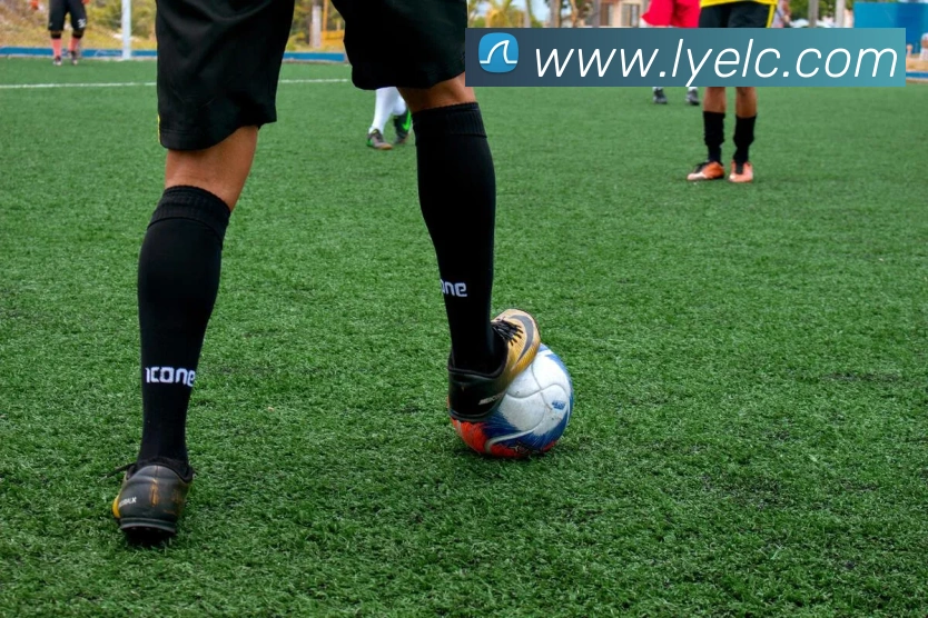 星空app官网平台生态图